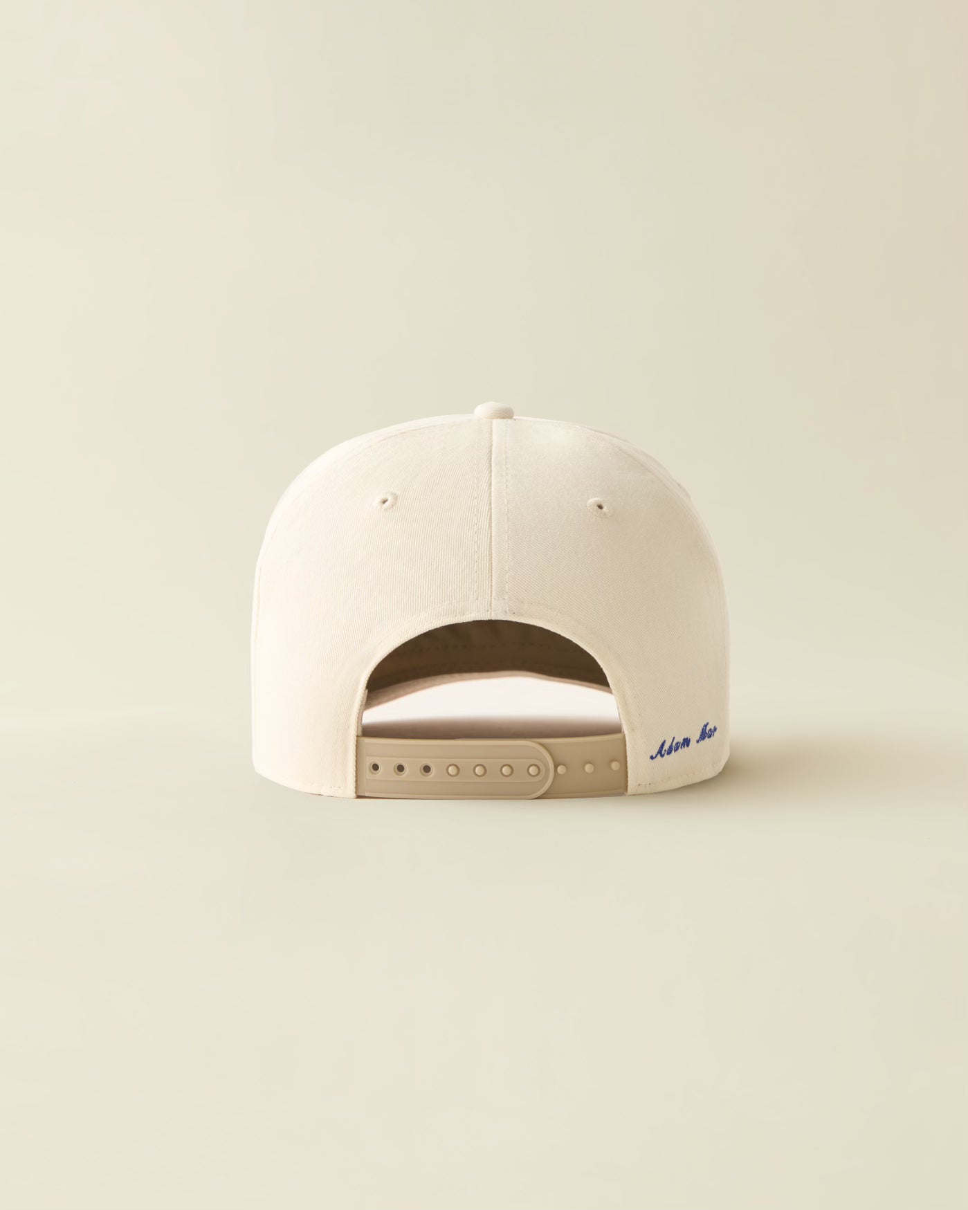 Reef Trucker- ( clown fish )