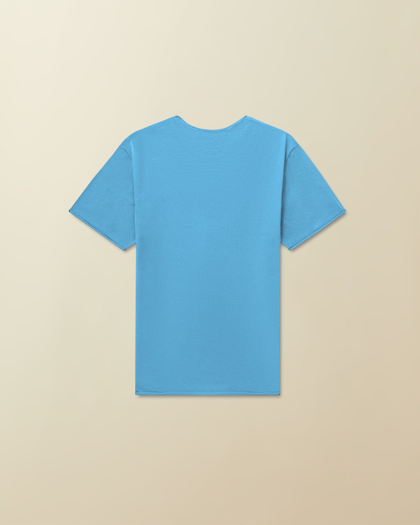 AM Roll Hem Sweater Tee ( Carolina )
