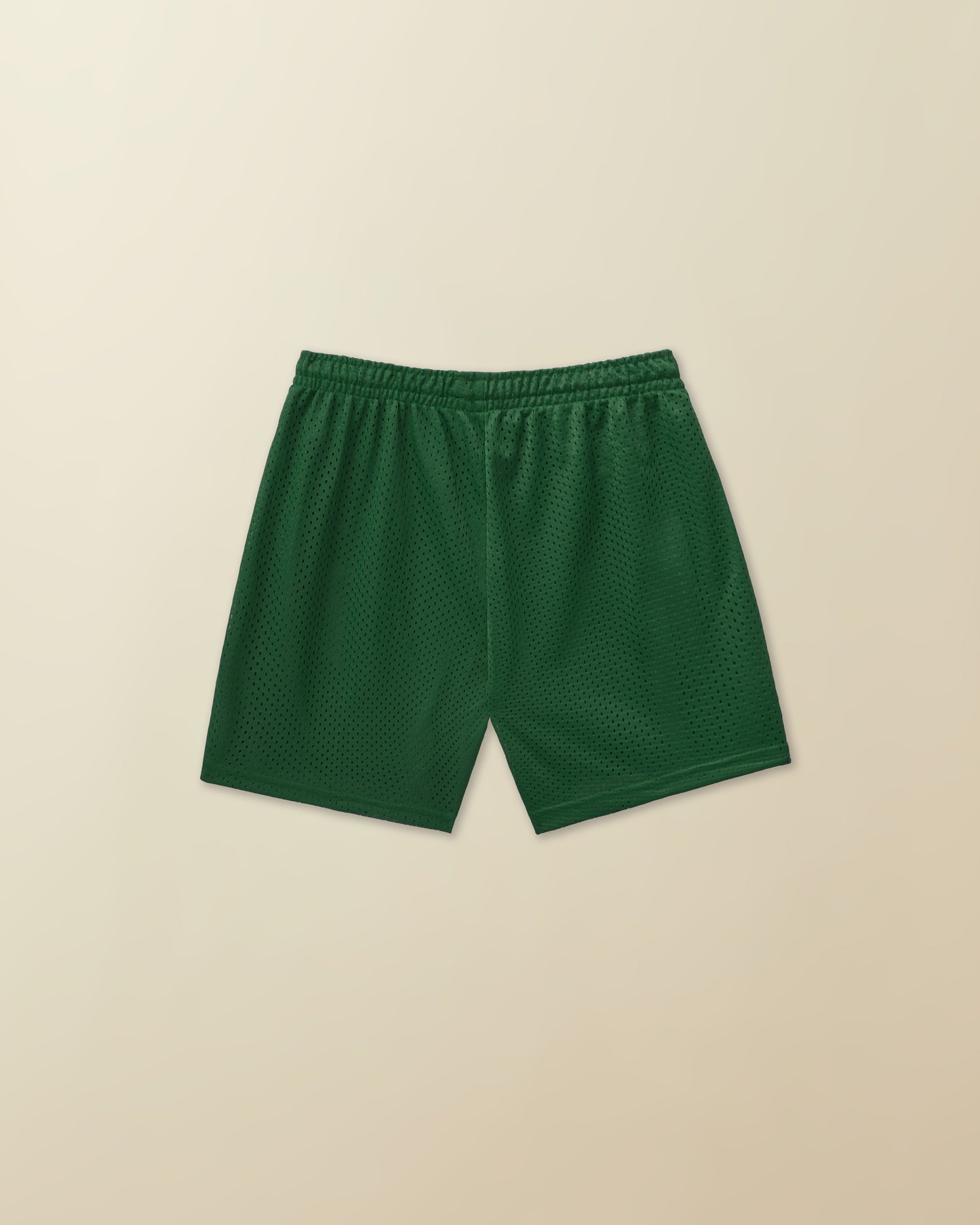 Beach Plum Mesh Short - ( green )
