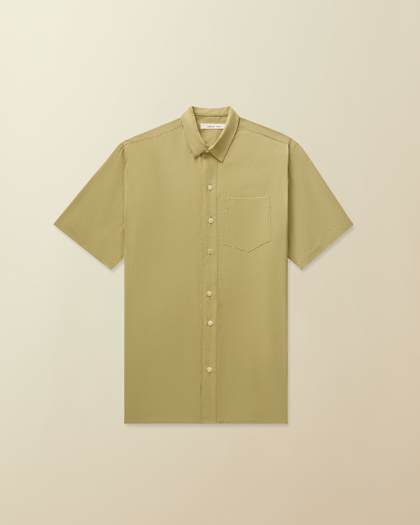 Fugazi Silk Button Down ( sage )