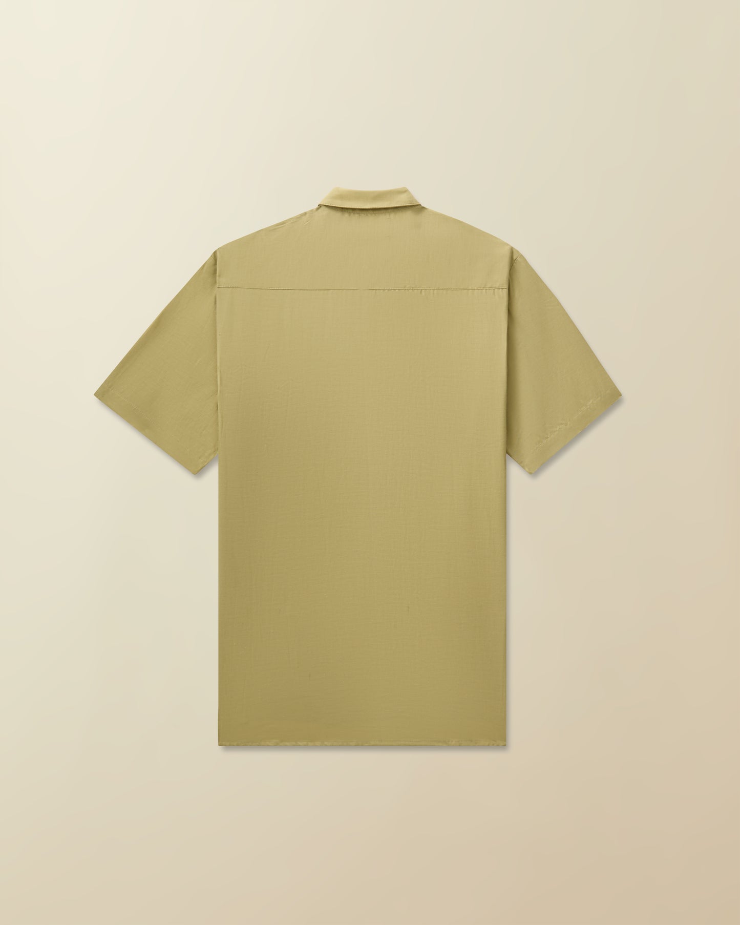 Fugazi Silk Button Down ( sage )