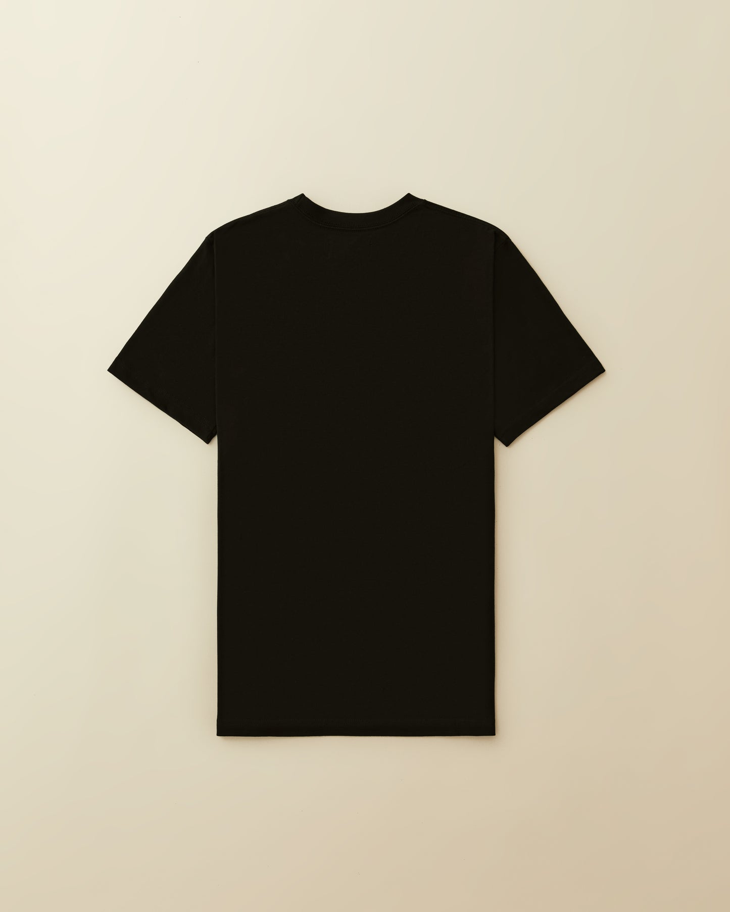 AM Surf - tee ( black )