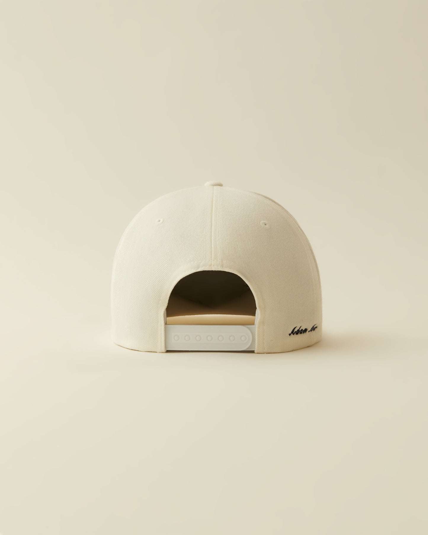 NY Whale Tail Snapback- ( white )