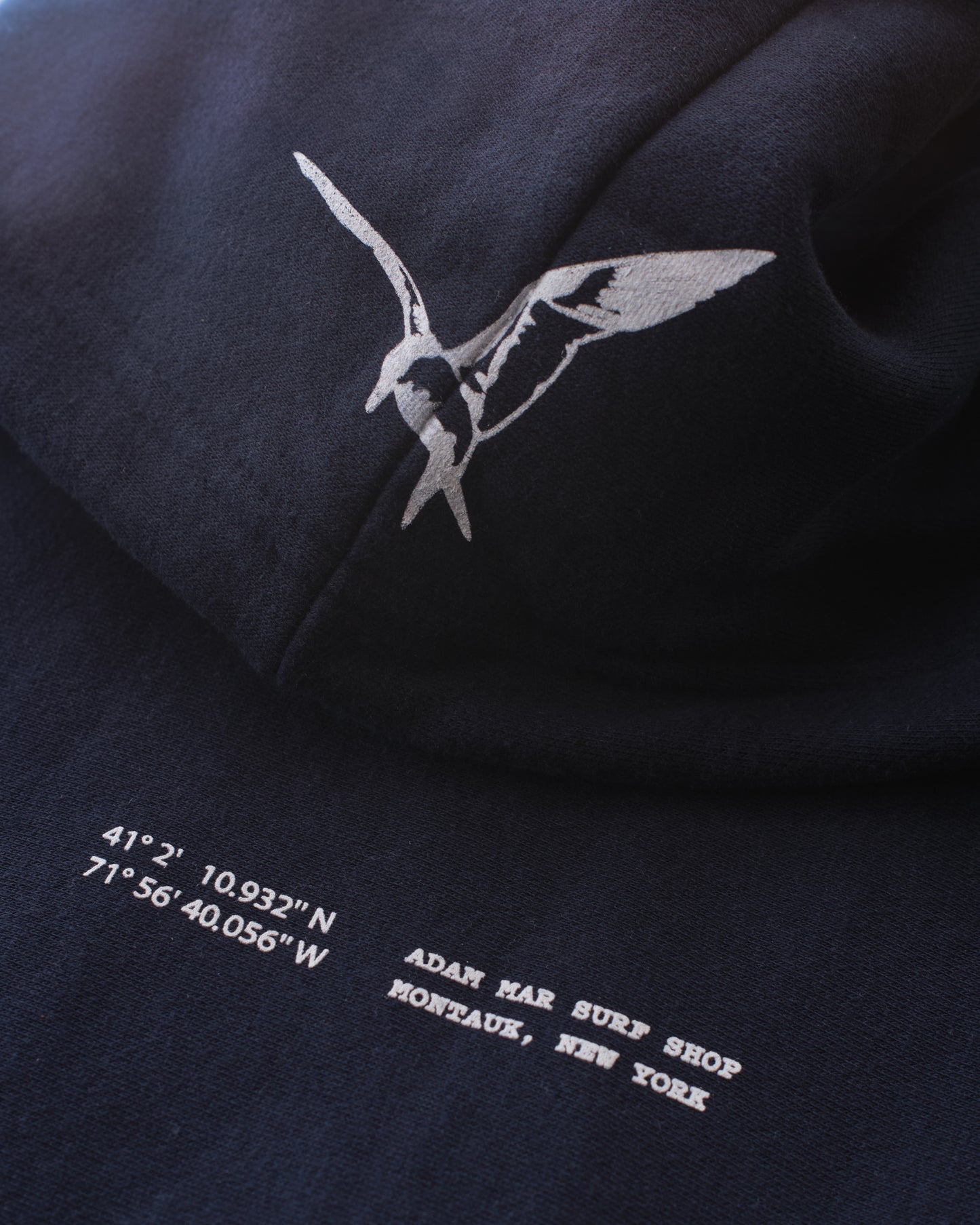 Coordinates Hoodie- ( navy )
