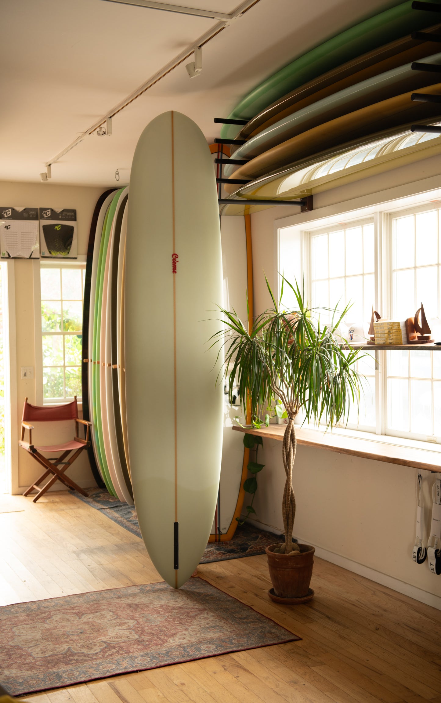 Creme Fat Cat- ( 9'4 ) Back