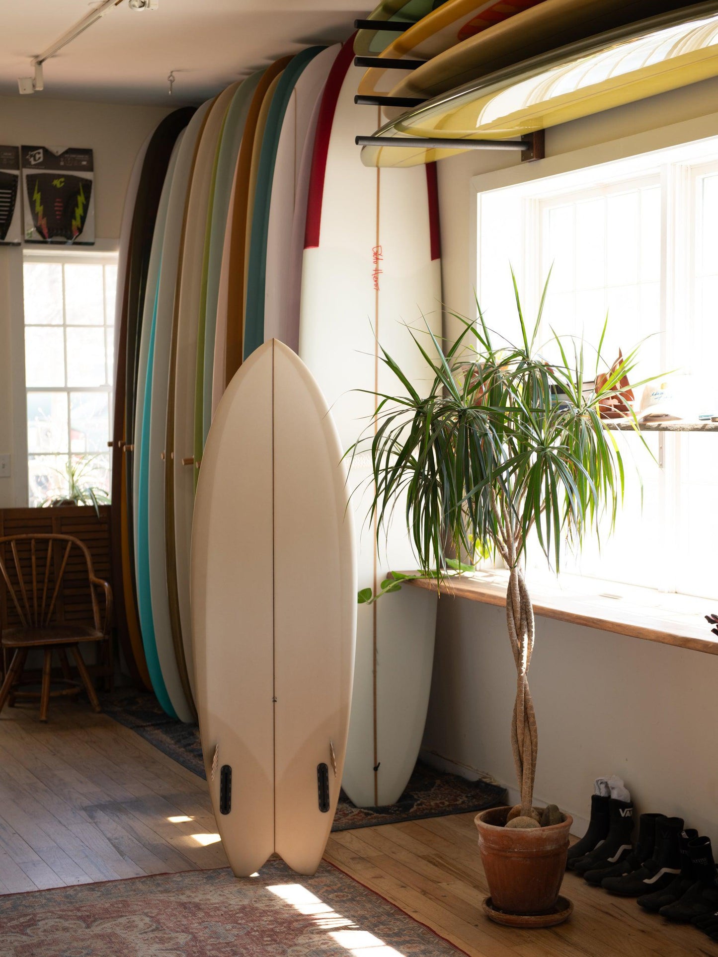 Derrick Disney - Zorn ( 5'8 ) Back