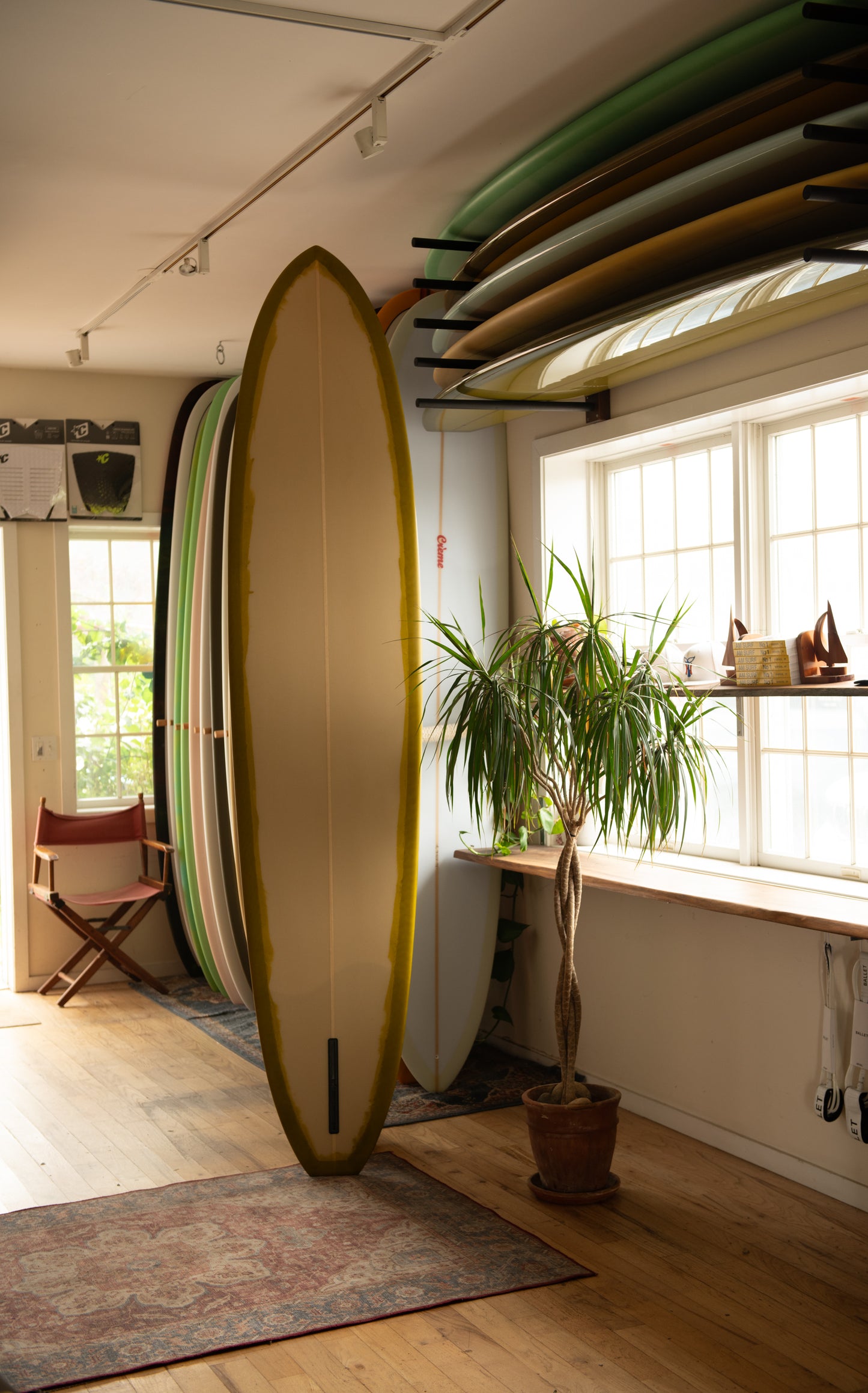 Gato Heroi- Killer ( 9'1 ) Back