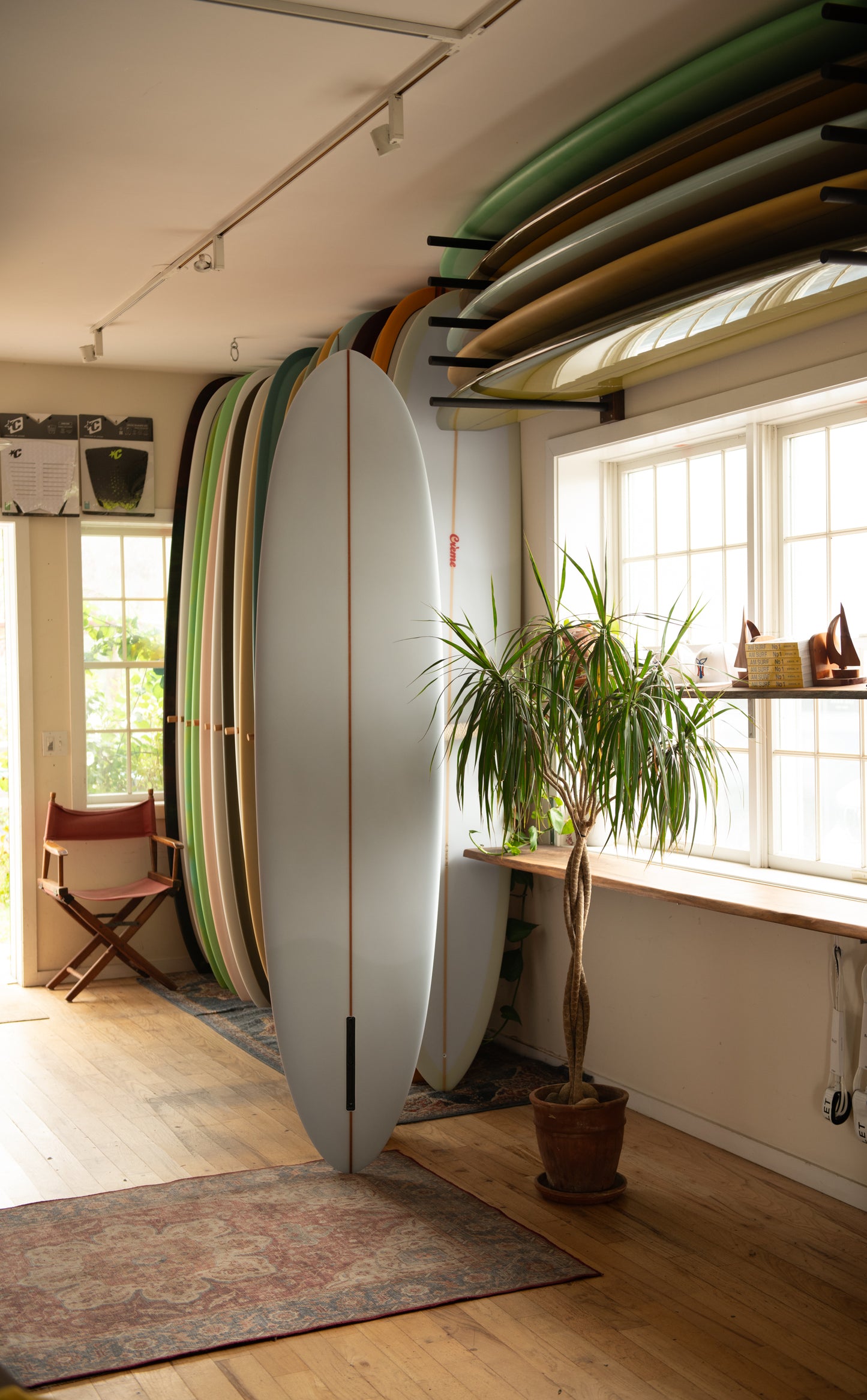 Gato Heroi- Surfar ( 8'0 ) Back