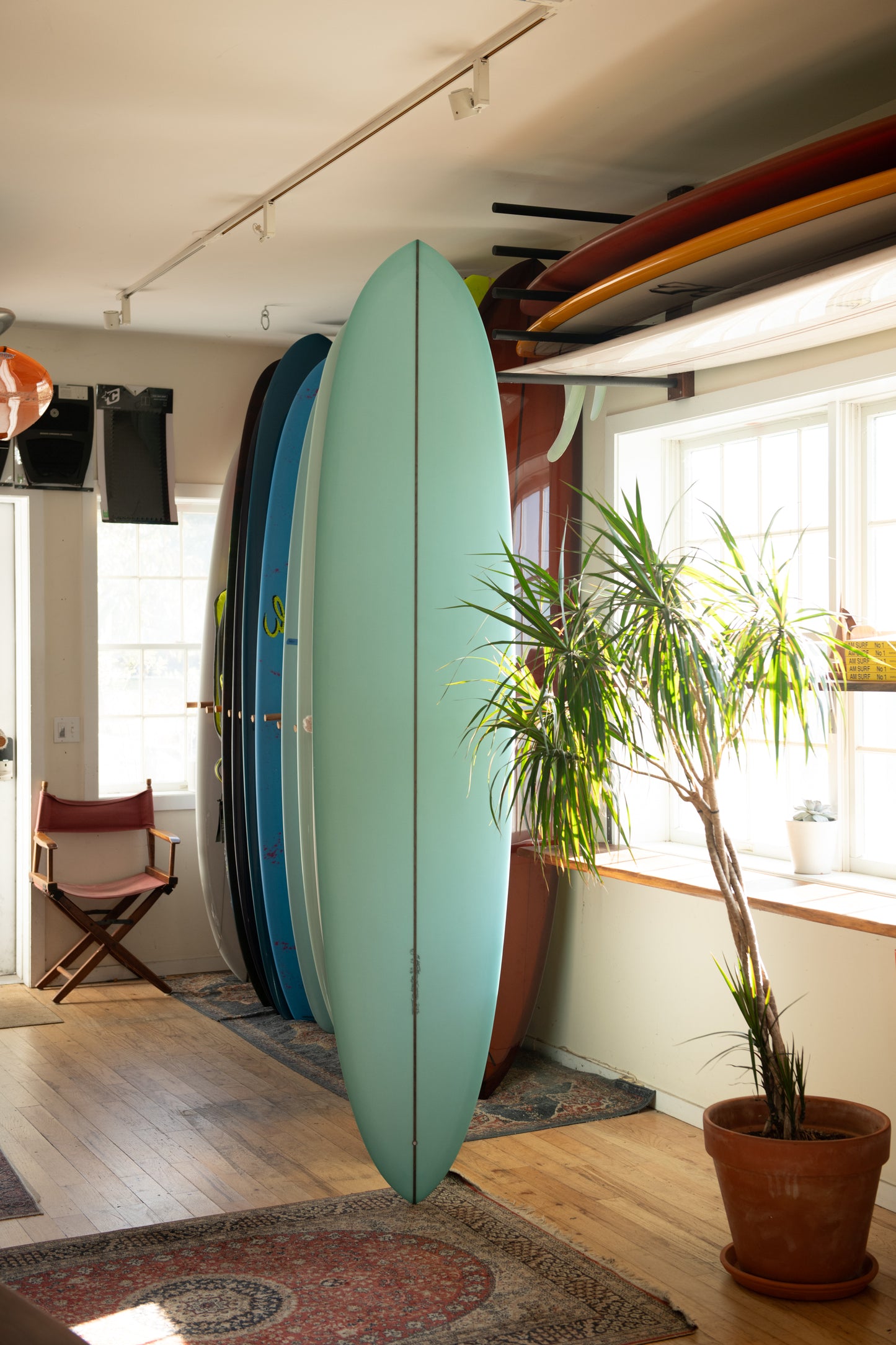 Arenal - Anomaly ( 8'6" )