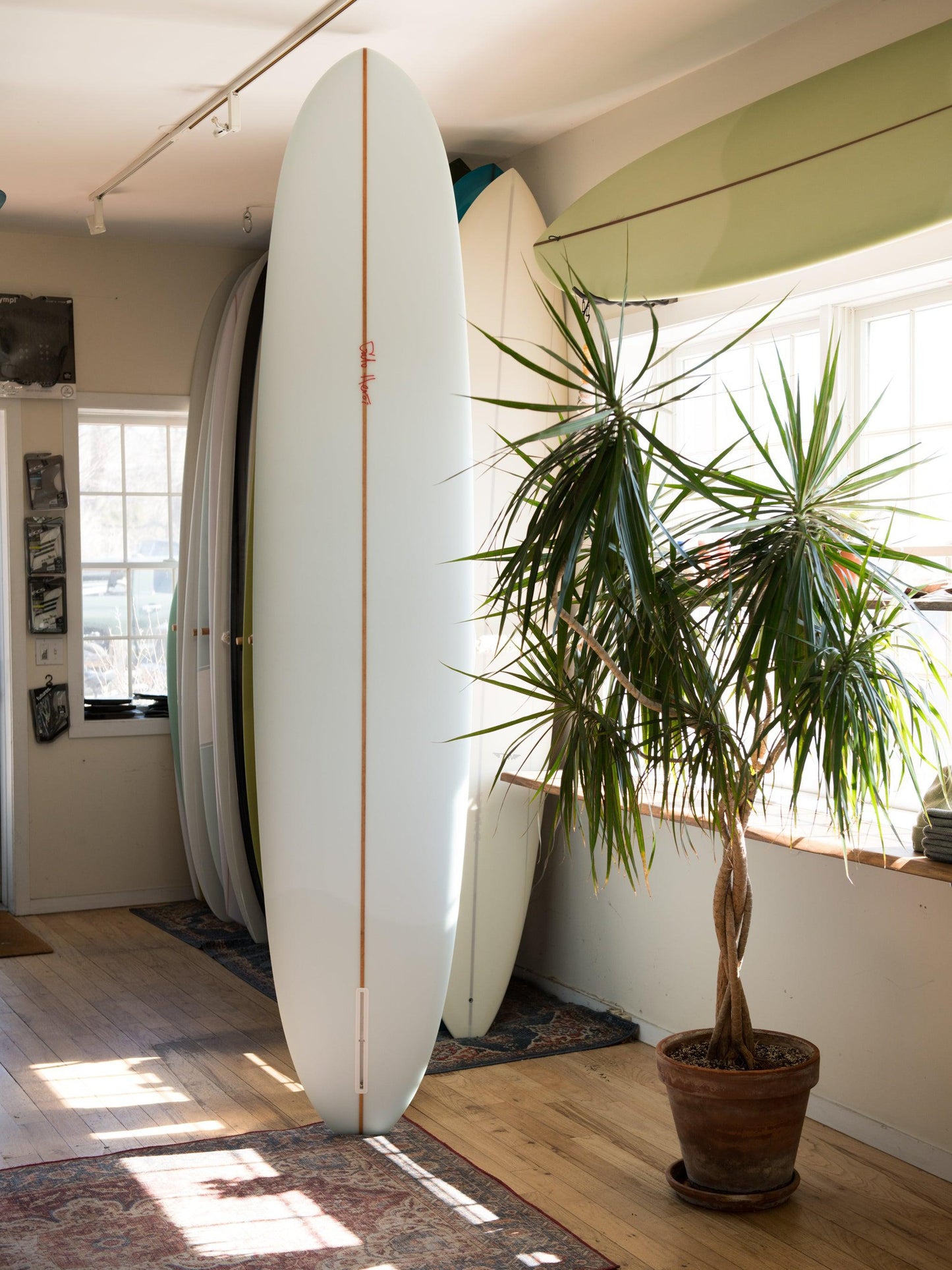 Gato Heroi Chop Op ( 9'5 ) Back