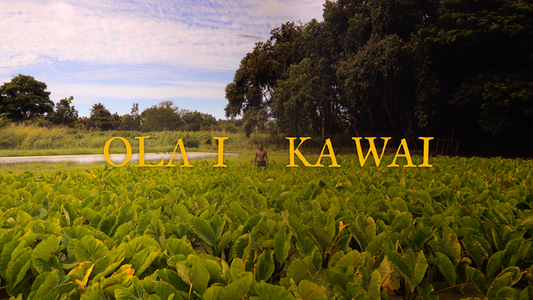 Ola I Ka Wai