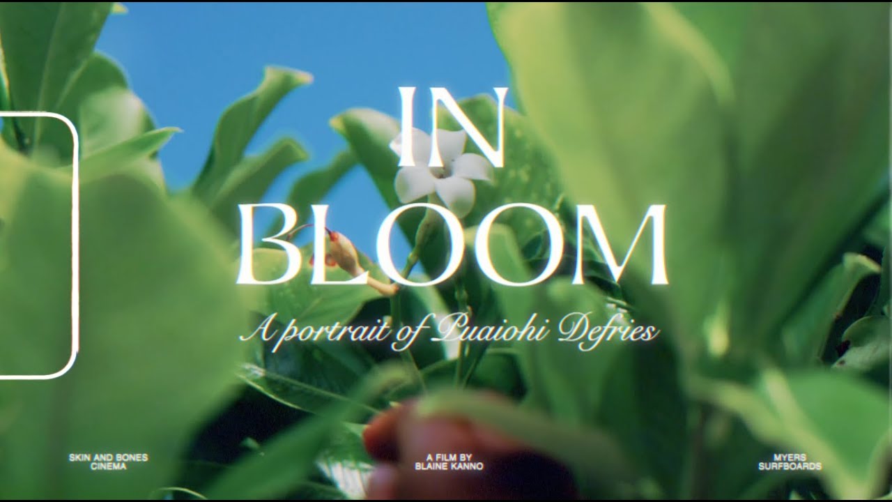 In Bloom