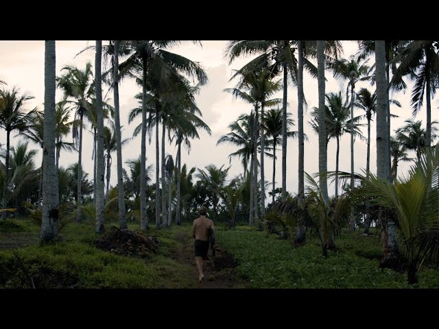 The Javanese Way