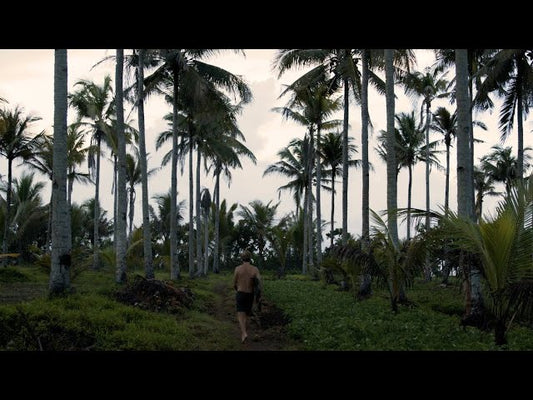 The Javanese Way