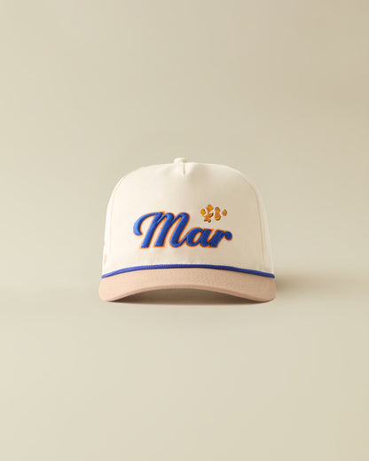 Reef Trucker- ( clown fish )