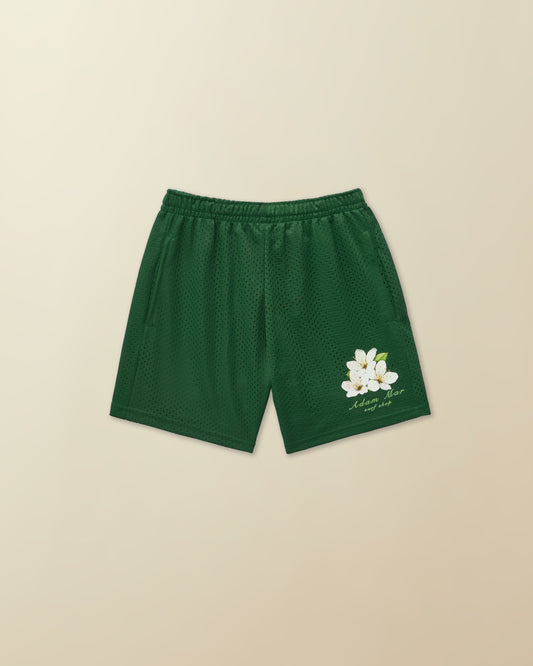 Beach Plum Mesh Short - ( green )