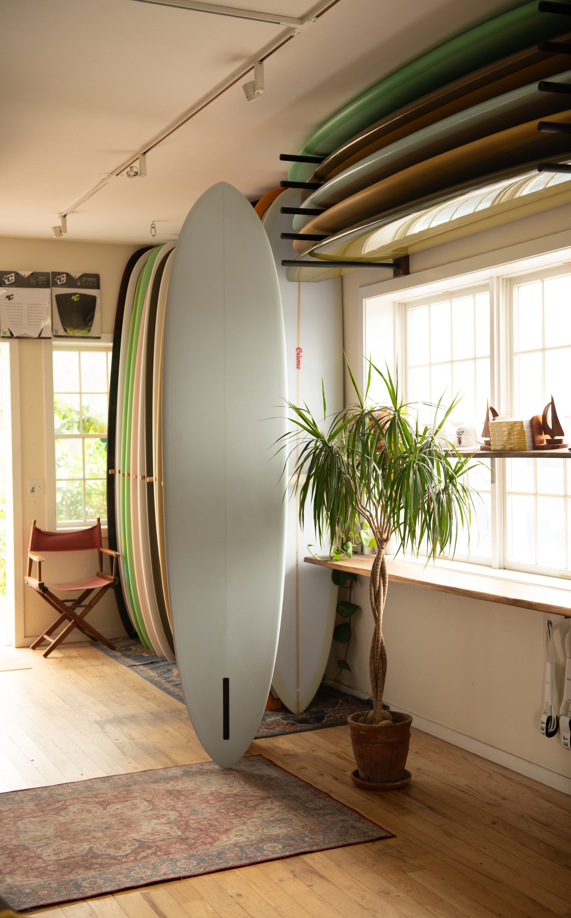 THC - Hoy Egg ( 9'1 ) Back
