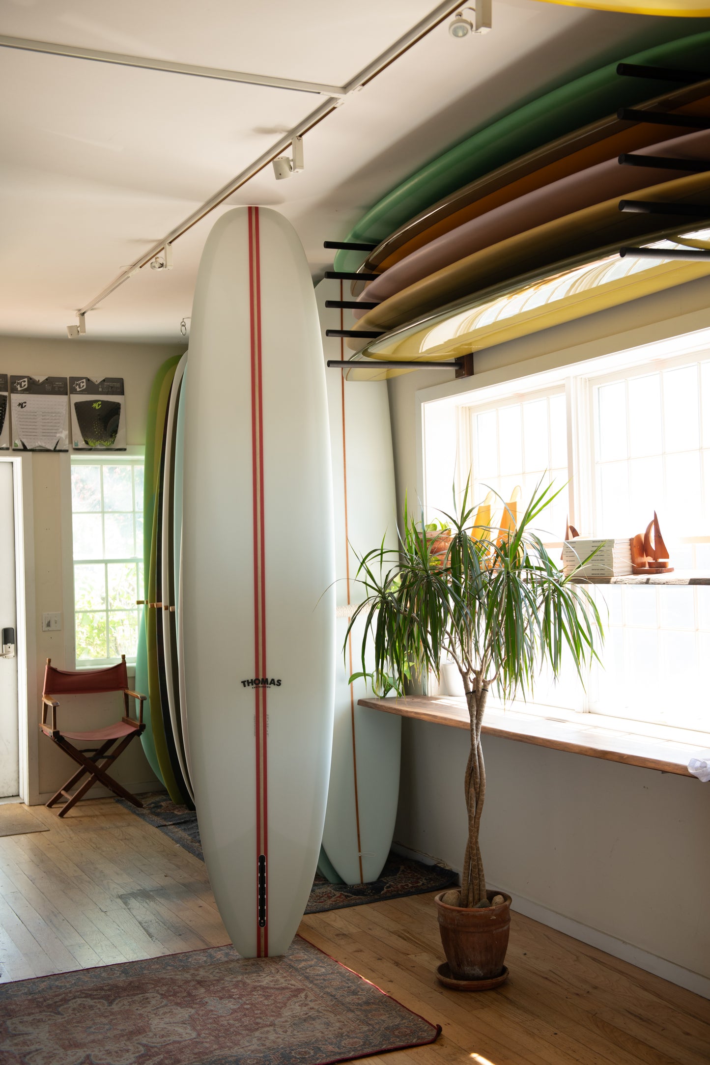 Thomas Surfboards - Moose Knuckle ( 9'6 ) Back