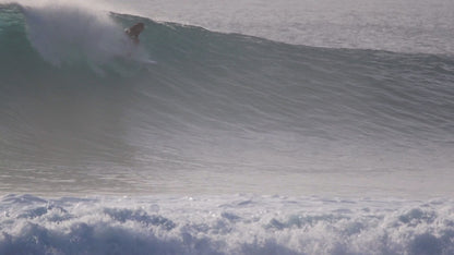 Derrick Disney - Twinzr Fish ( 5'7 )