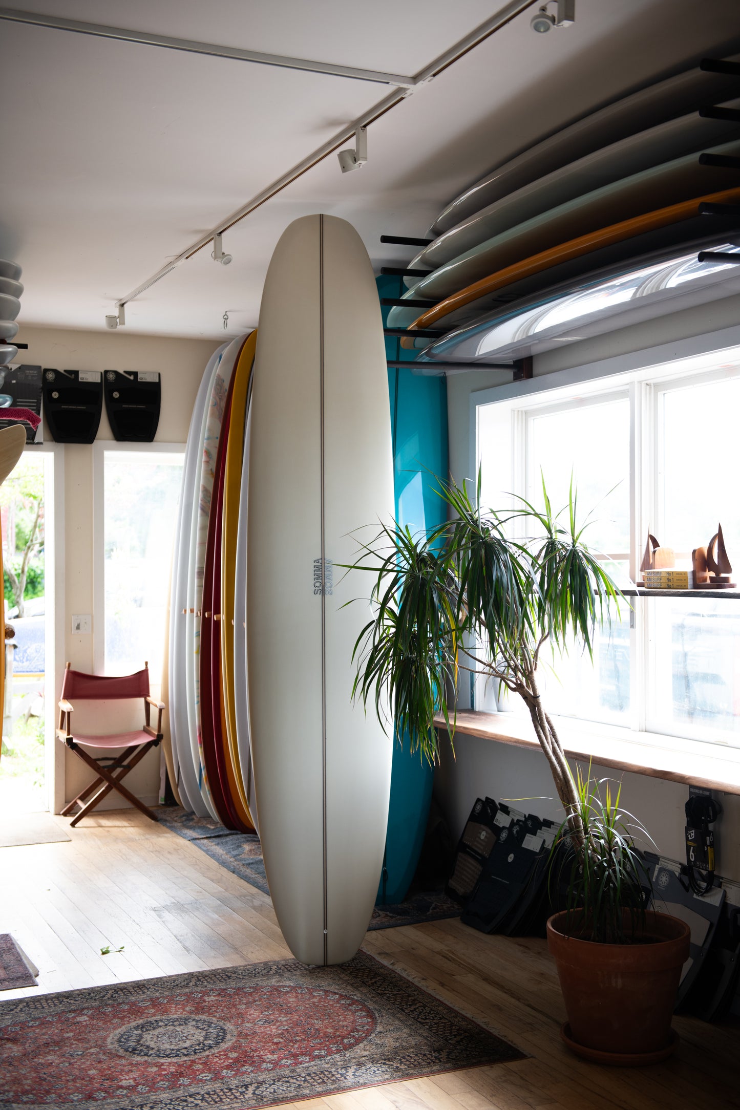 Shea Somma - Ham and Cheese ( 9'4 )