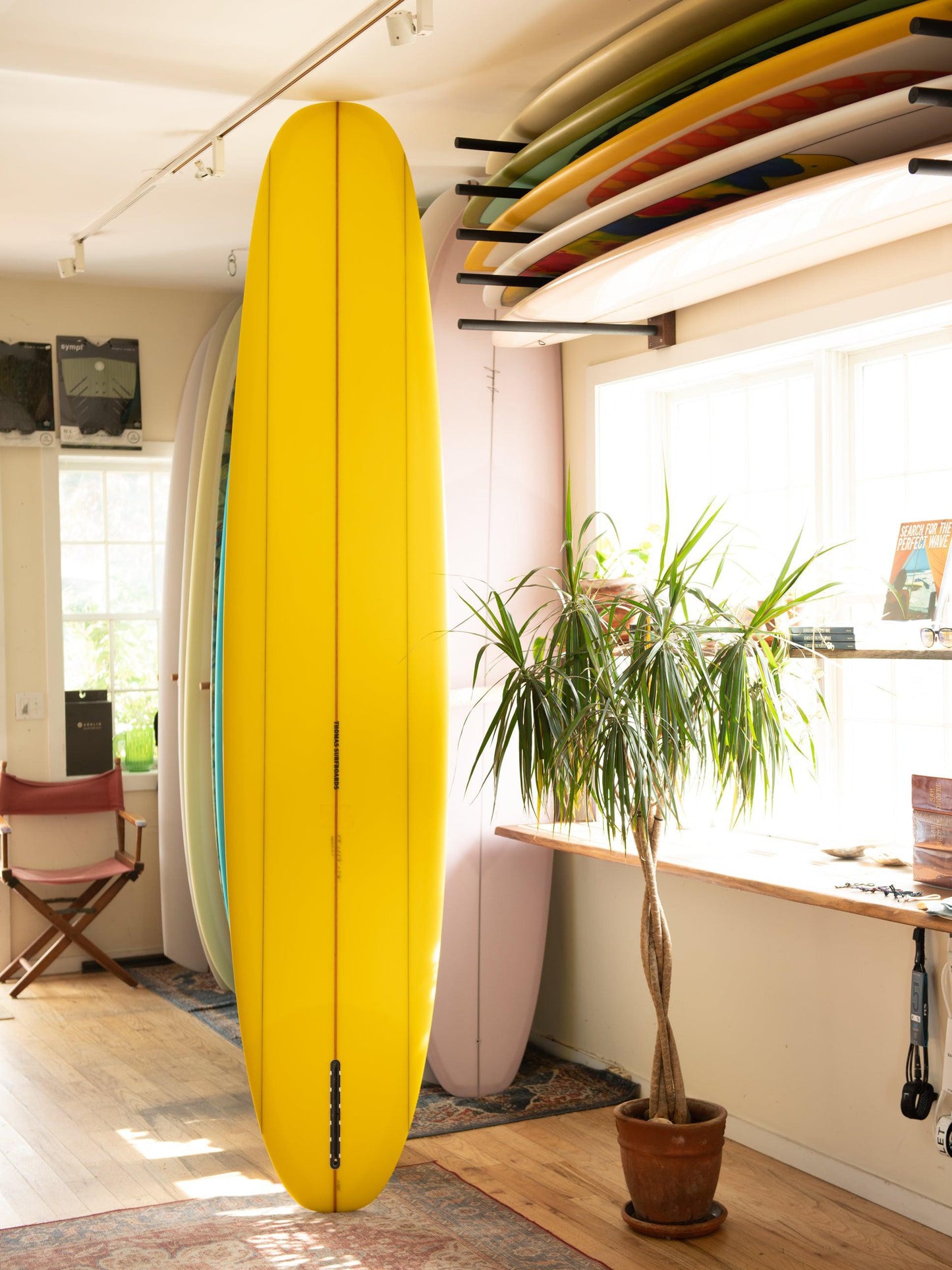 Thomas Surfboards - Harriot ( 9'8 ) Back