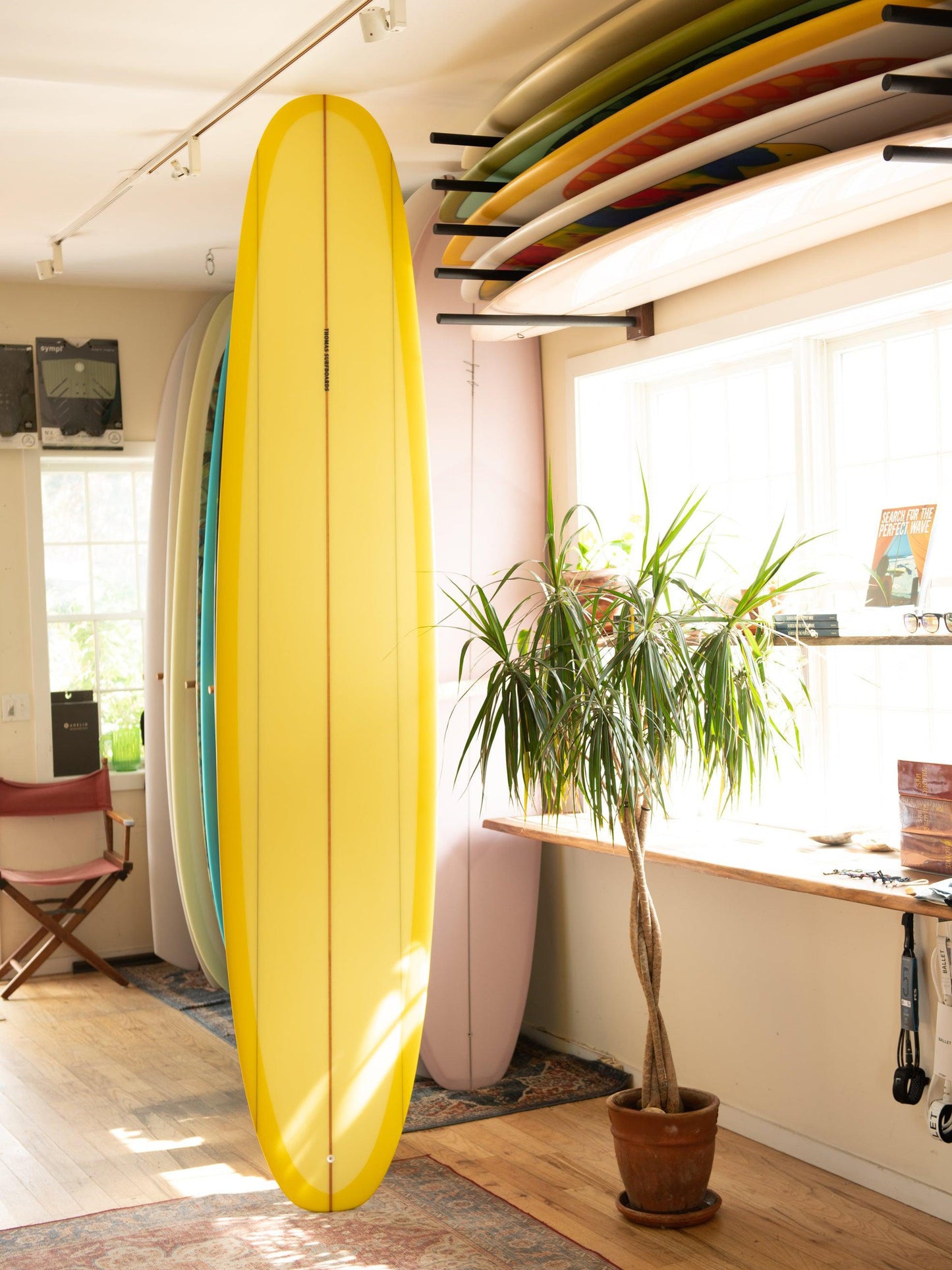 Thomas Surfboards - Harriot ( 9'8 ) Front