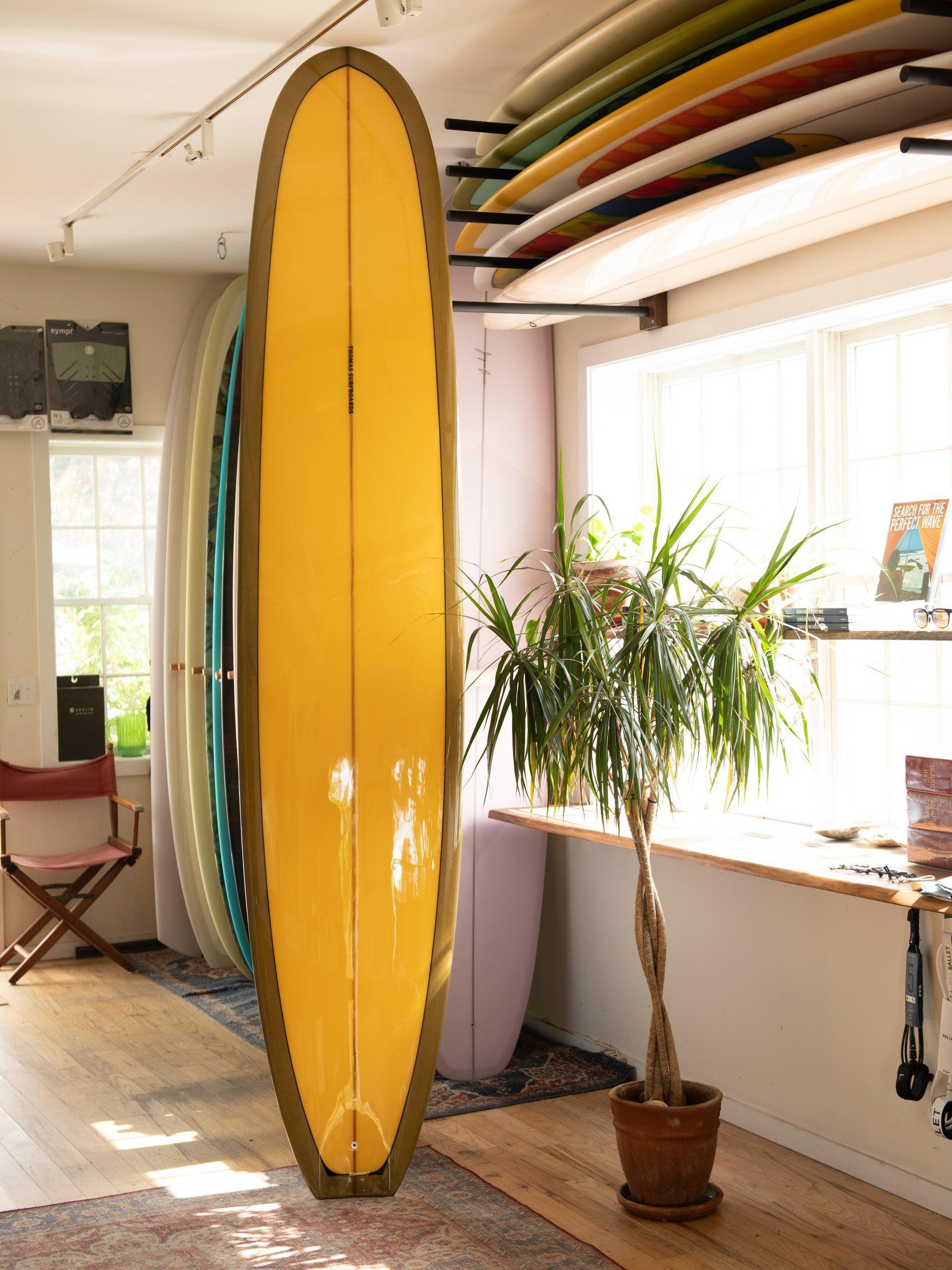 Thomas Surfboards - Scoop Tail ( 9'6 ) Front